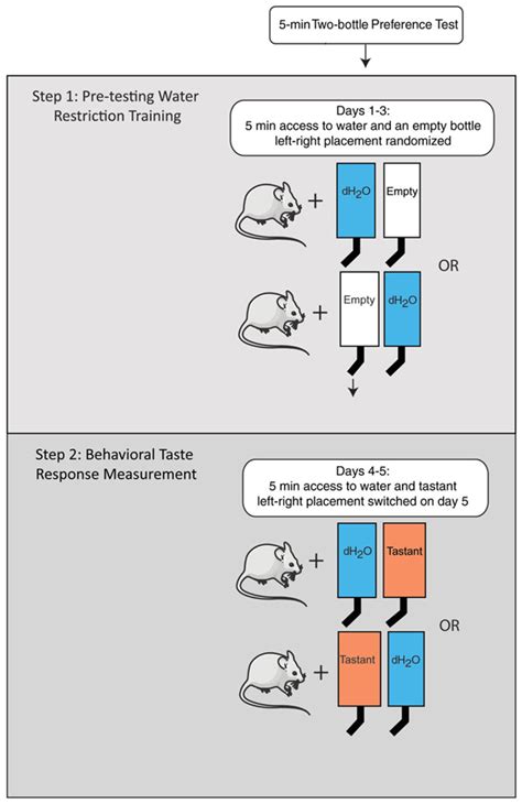 two bottle preference test image|An open source automated two.